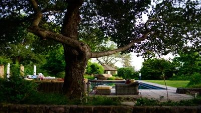 Grounds 14