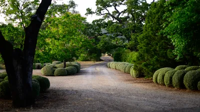 Grounds 15