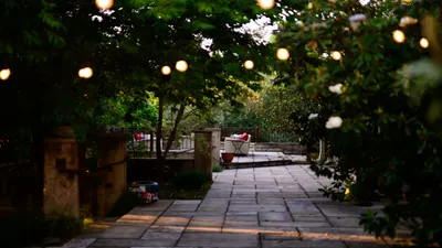 Patio 14